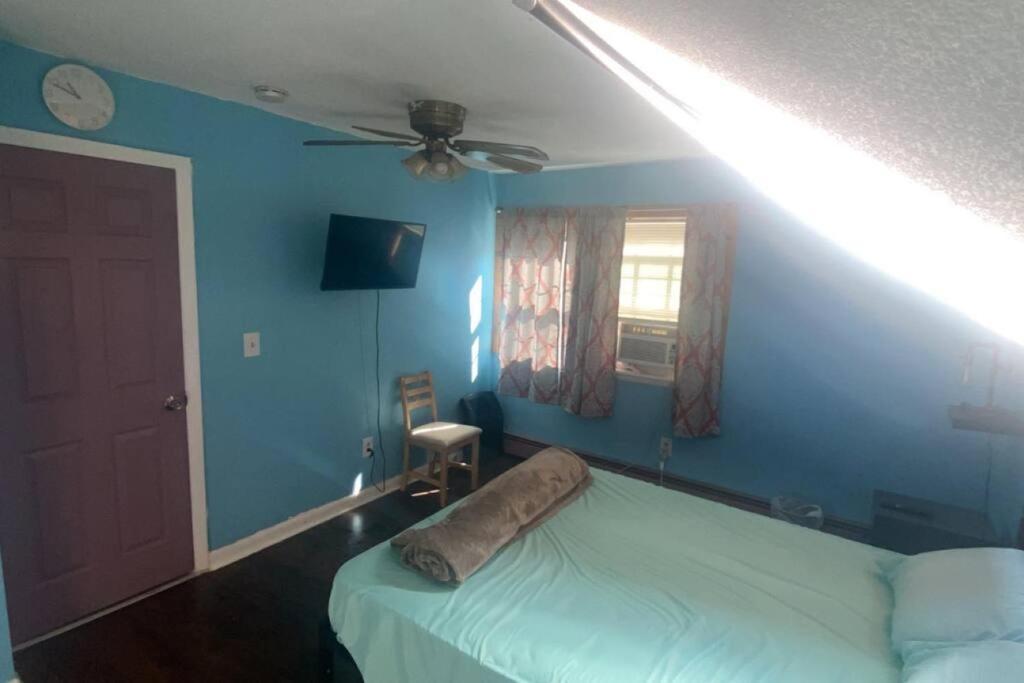 Rock Pad Airbnb New Haven Exterior photo